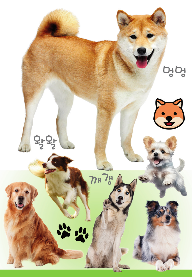 노리낱말카드 개 앞면